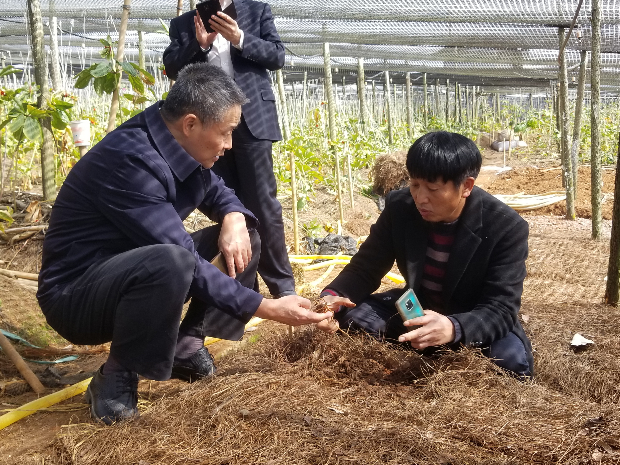尊龙凯时·(中国区)人生就是搏!